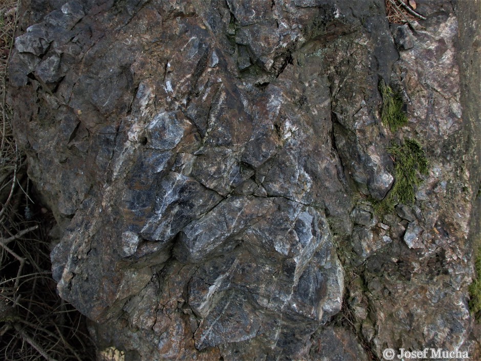 Vyhlídka Mariina skála u Milínova - detail mírně tektonicky porušeného silicitu a následné vyhojení bílým křemenem
