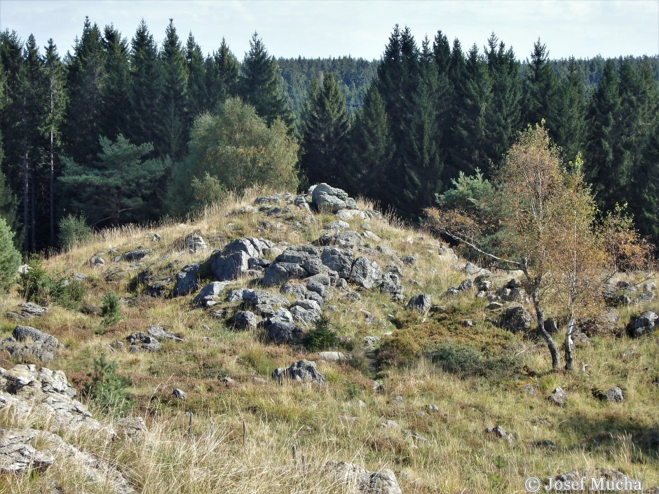 Tři Křížky - hornina  hadec - metamorfovaná hornina - původní horniny gabra a bazalty