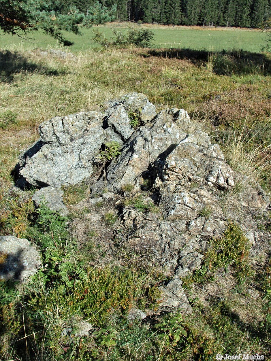 Tři Křížky - hornina  hadec - metamorfovaná hornina - původní horniny gabra a bazalty