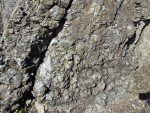 Tři Křížky - hornina serpentinit (hadec) - metamorfovaná výlevná hornina z oceánských hřbetů - detail
