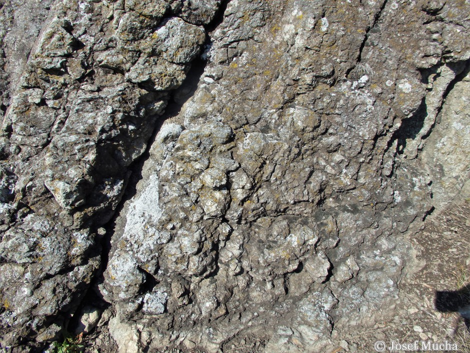 Tři Křížky - hornina serpentinit (hadec) - metamorfovaná výlevná hornina z oceánských hřbetů - detail