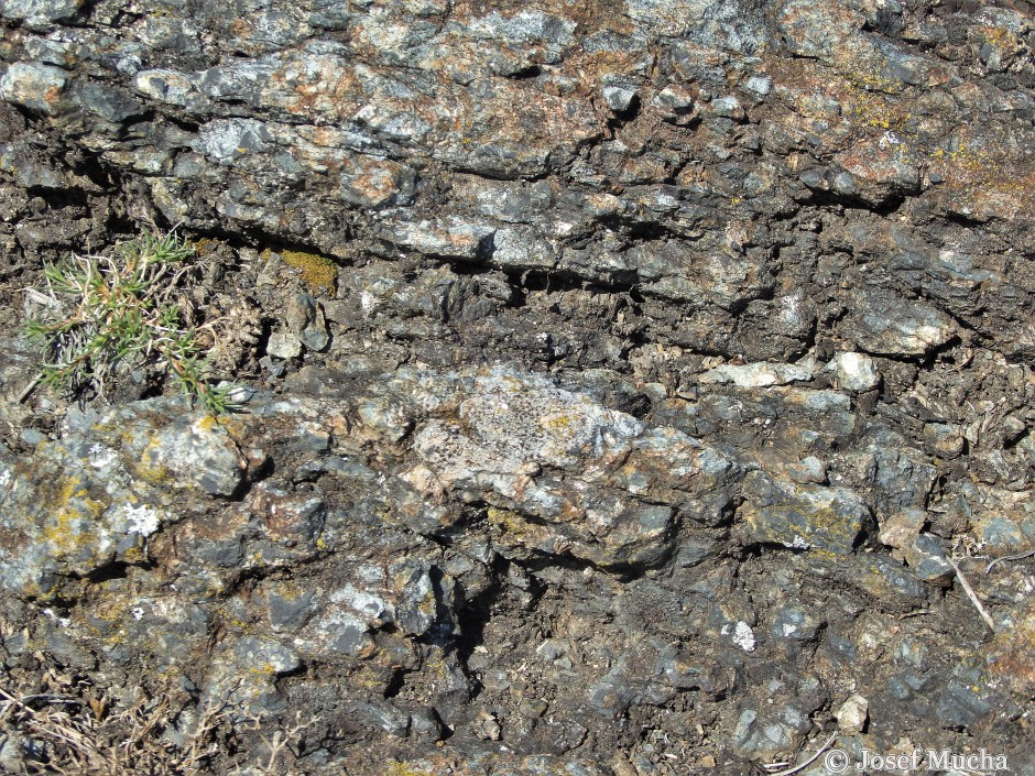 Dominova skalka - hornina  hadec - metamorfovaná výlevná hornina z oceánských hřbetů - detail zelenošedé horniny