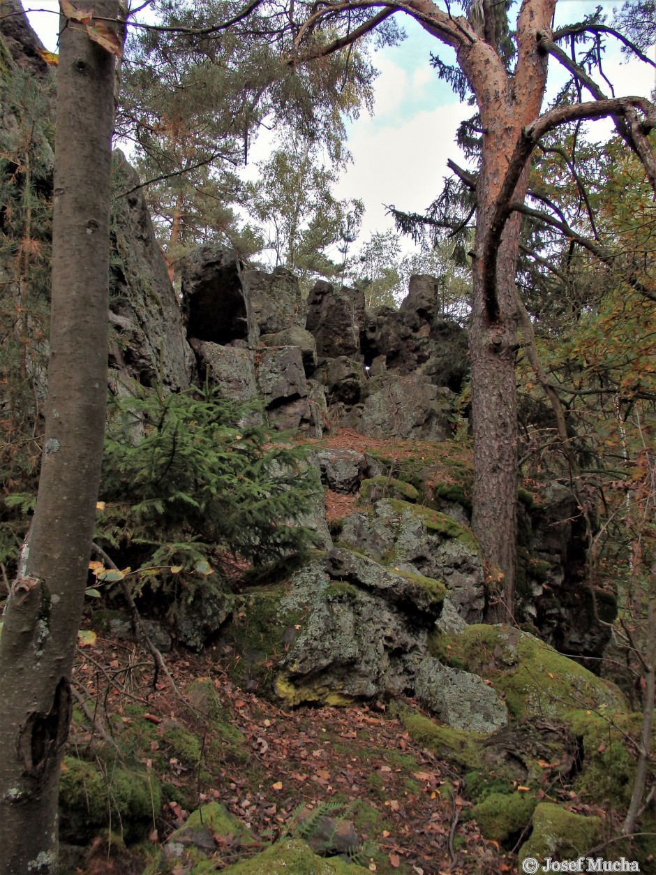 Andrejšky pod vrchem Radyně - silicitový (buližníkový) hřbet tvoří kamenné bludiště