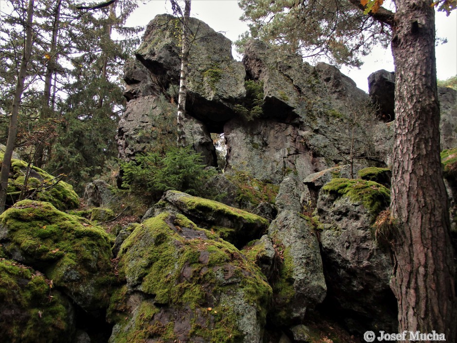 Andrejšky pod vrchem Radyně - silicitový (buližníkový) hřbet je mrazovým zvětráváním rozpukán a vytváří kamenné bludiště i se skalním oknem 