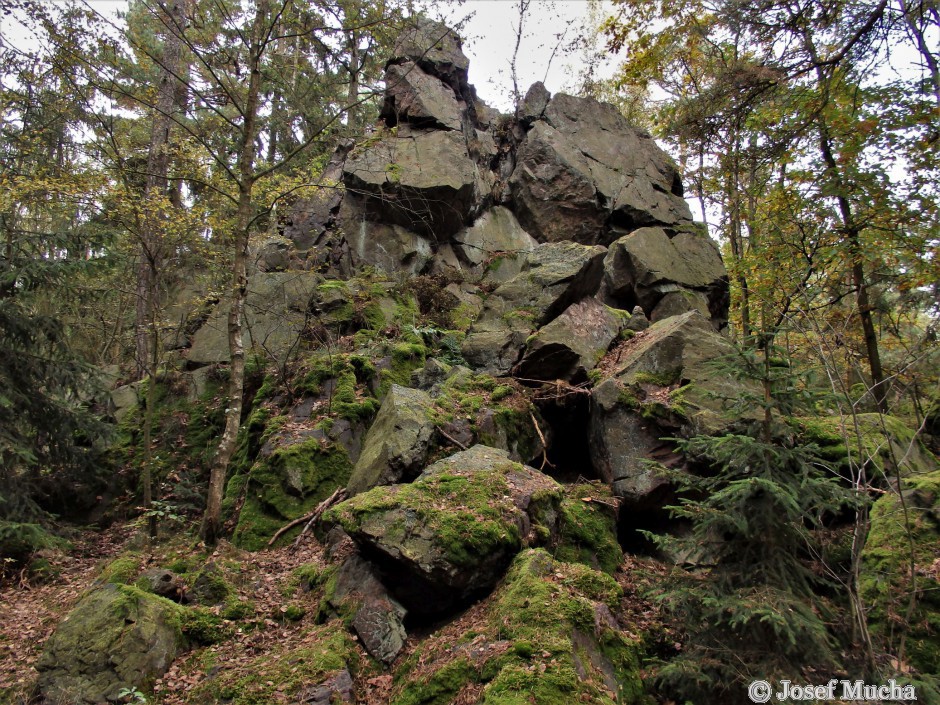 Andrejšky pod vrchem Radyně - silicitový (buližníkový) hřbet - jedna z nejvyšších částí kamýku
