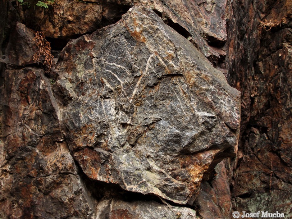 Andrejšky pod vrchem Radyně - silicit je na mnoha místech následných tektonických poruch, druhotně hydrotermálně vyhojen bílým křemenem 