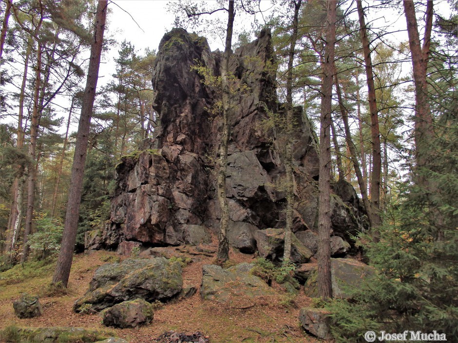 Andrejšky pod vrchem Radyně - silicitový (buližníkový) hřbet vysoký až 15 m působí v lese monumentálním dojmem