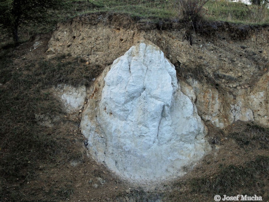 Písečný vrch u Bečova - těžené křemence, v okolí balvanu maarová brekcie metamorfovaných vulkanitů a podložních sedimentárních hornin