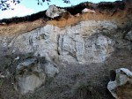 Písečný vrch u Bečova - těžené vrstvy sedimentárních jezerních písků, v okolí balvany křemenců