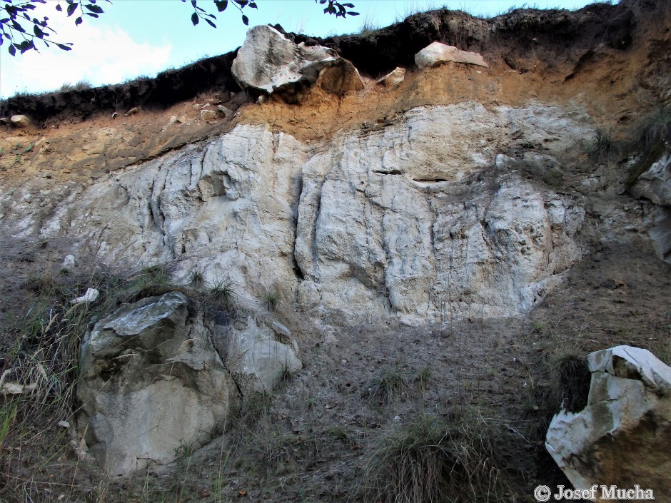 Písečný vrch u Bečova - těžené vrstvy sedimentárních jezerních písků, v okolí balvany křemenců