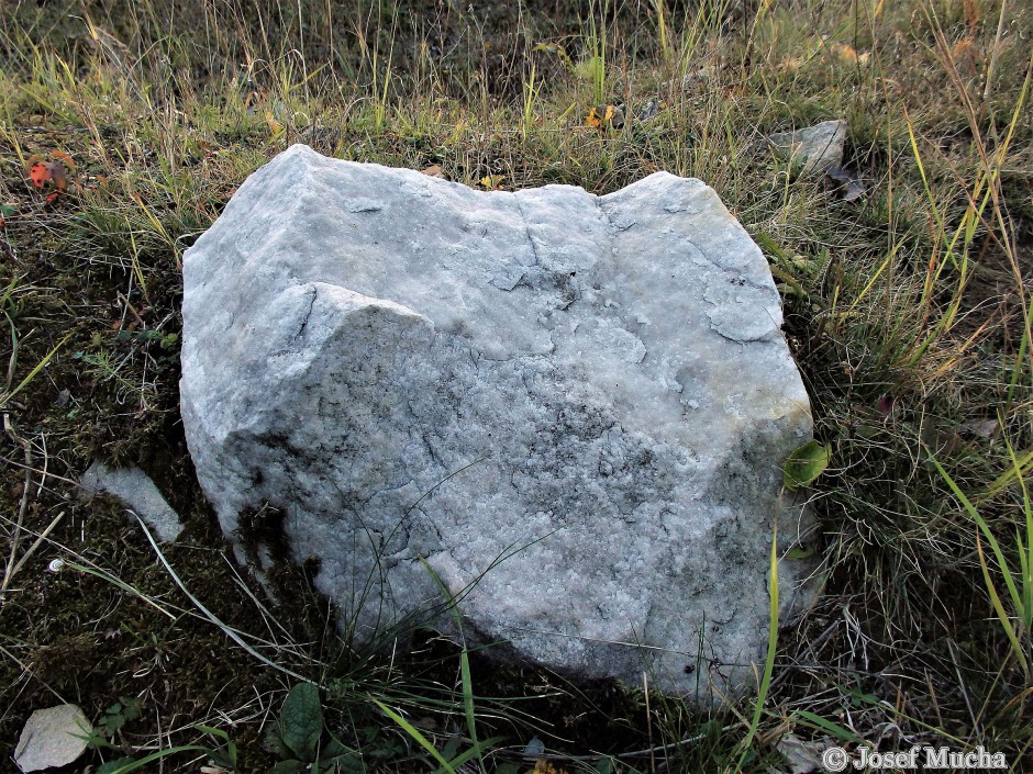 Písečný vrch u Bečova - v třetihorách hydrotermálně metamorfovaný křemenec