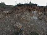 Písečný vrch u Bečova -  maarová brekcie metamorfovaných vulkanitů s xenolity podložních sedimentárních hornin (slínovec - opuka ve středu obrázku) 