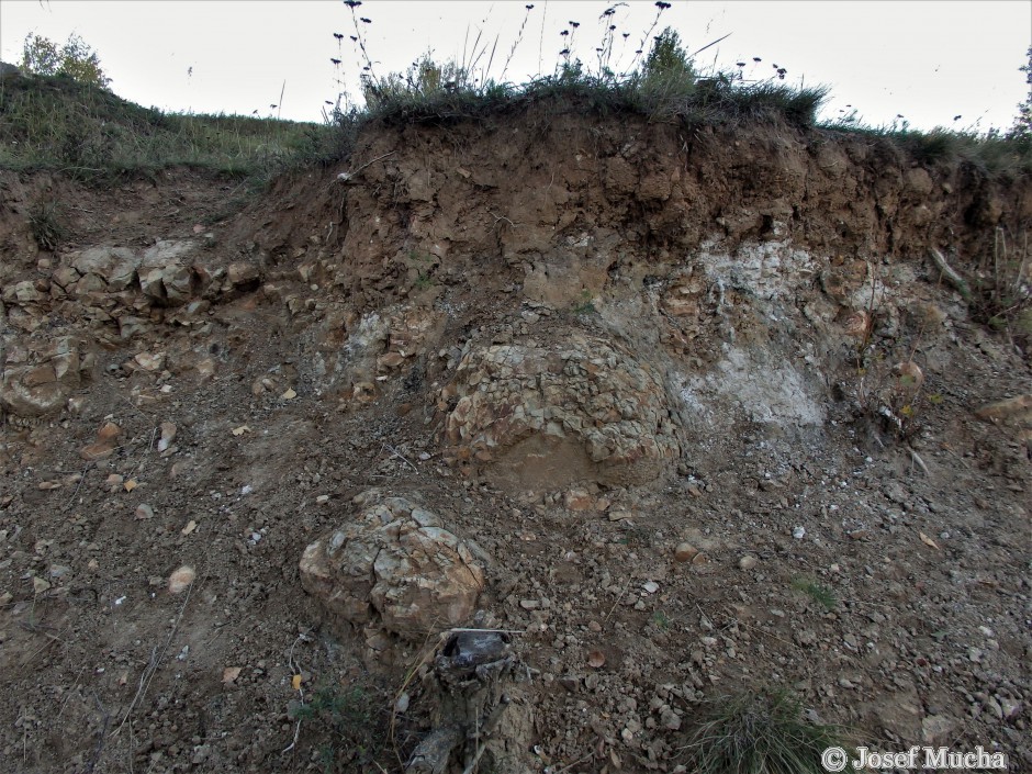 Písečný vrch u Bečova -  maarová brekcie metamorfovaných vulkanitů s xenolity podložních sedimentárních hornin (slínovec - opuka ve středu obrázku) 