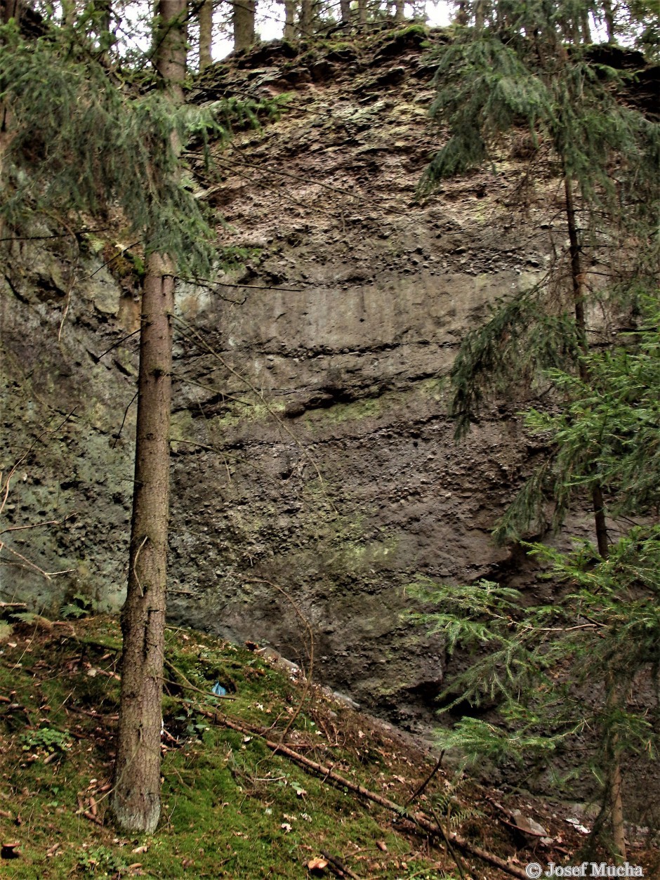 Příšovská homolka - magma proniklo zlomy ve vrstvách karbonských sedimentů - týnecké souvrství