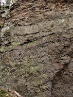 Příšovská homolka - týnecké souvrství - střídání vrstev pískovců a slepenců dokazuje bouřlivé a klidové usazování klastického materiálu na dně karbonských jezer a řek