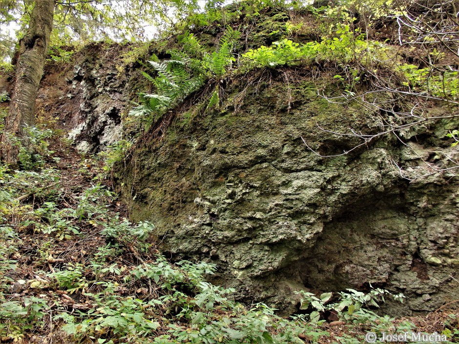 Příšovská homolka - vulkanické tufy první erupce