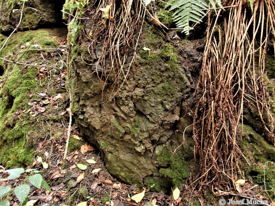 Příšovská homolka - vulkanické tufy staré cca 5 - 7 mil.let s xenolity původních hornin