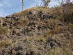 Vrch Homole - alterované bazalty, v horní části vrchu nedocházelo ke kontaktu s vodou a z tohoto důvodu jsou zde bazalty s balvanitou odlučností bez alterace