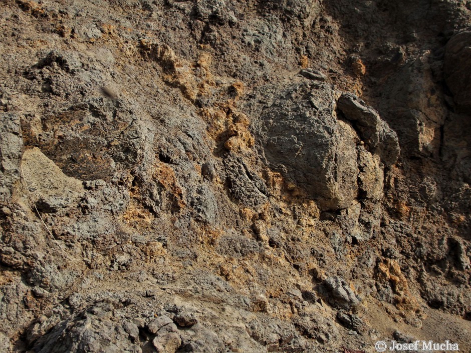 Vrch Homole - alterované bazalty, žlutobílošedé jílovité minerály s cibulovitou odlučností bazaltu