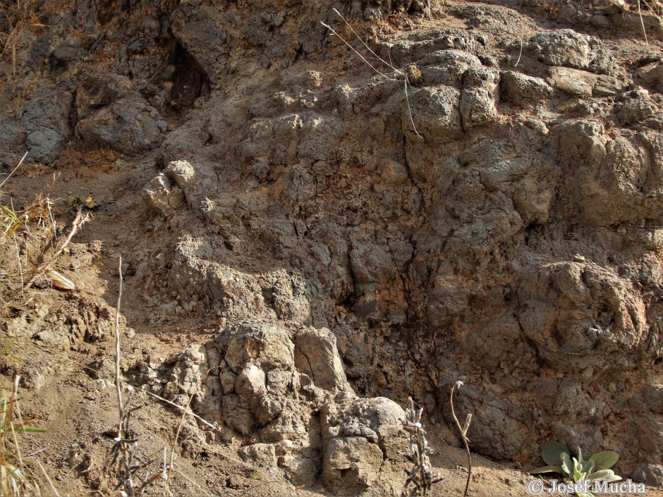Vrch Homole - alterované bazalty, žlutobílošedé jílovité minerály se nacházejí ve spodní části vrchu, kde láva reagovala s vodou (jezírko)