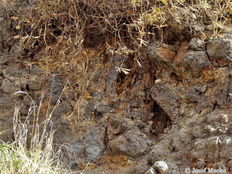 Vrch Homole - alterované bazalty, žlutobílošedé jílovité minerály vzniklé působením horké vody a páry při chladnutí po vulkanické erupci