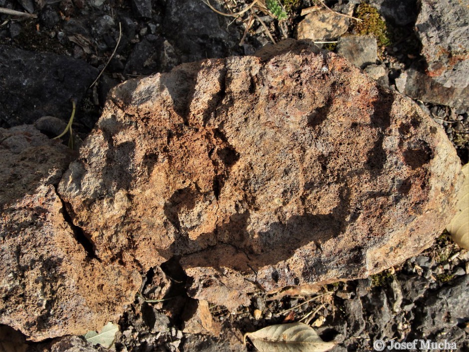 Vrch Homole - detail alterované jílovité horniny