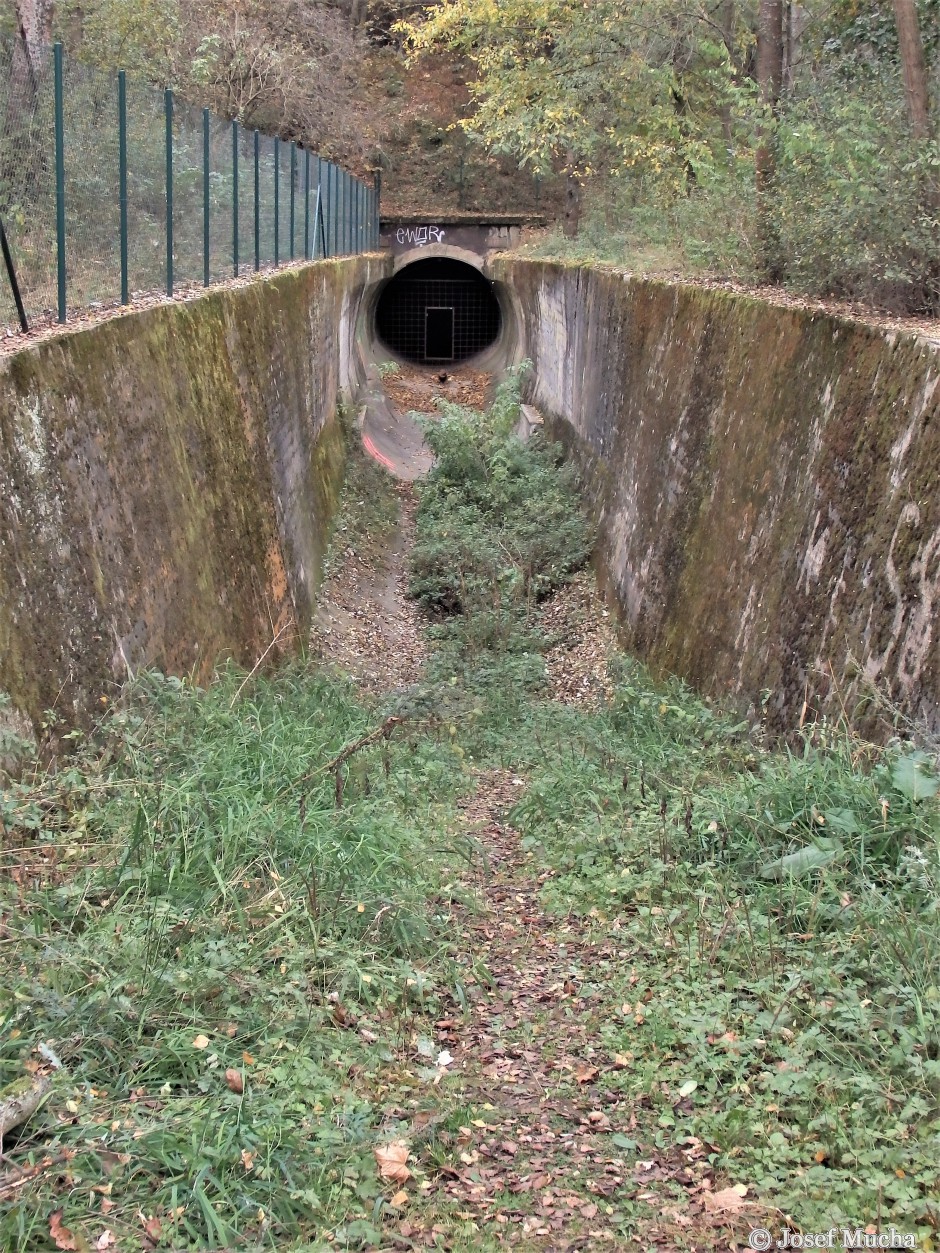 Lom Ejpovice - odvodňovací tunely - pohled z uzávěru na levý tunel - zimoviště netopýrů