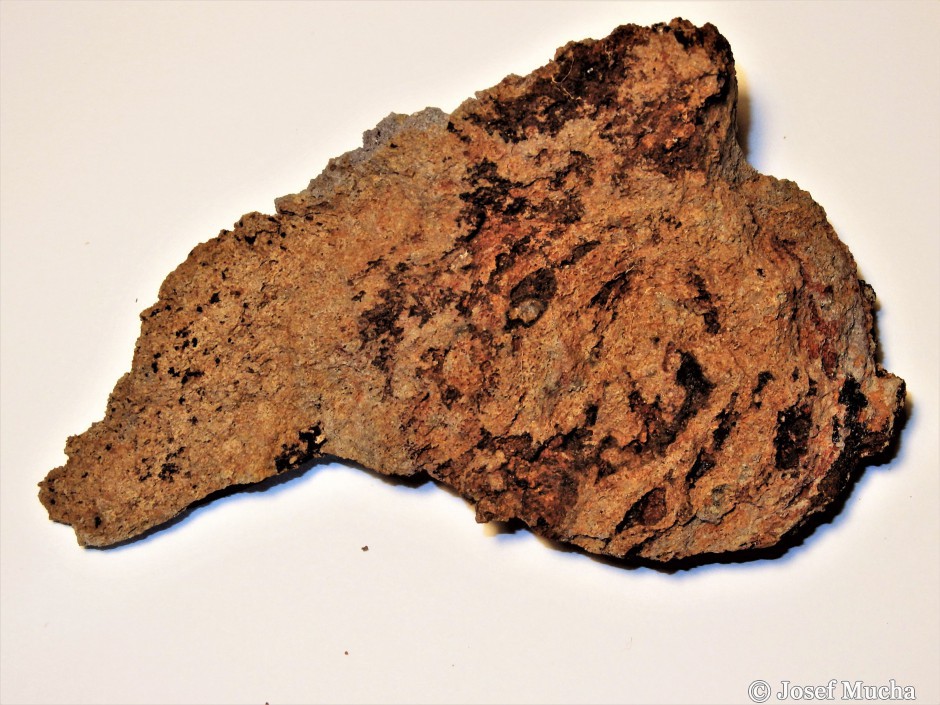 Vrch Homole - detail alterované jílovité horniny, nechce se věřit, že to byl někdy velmi tvrdý a erozi odolný bazalt