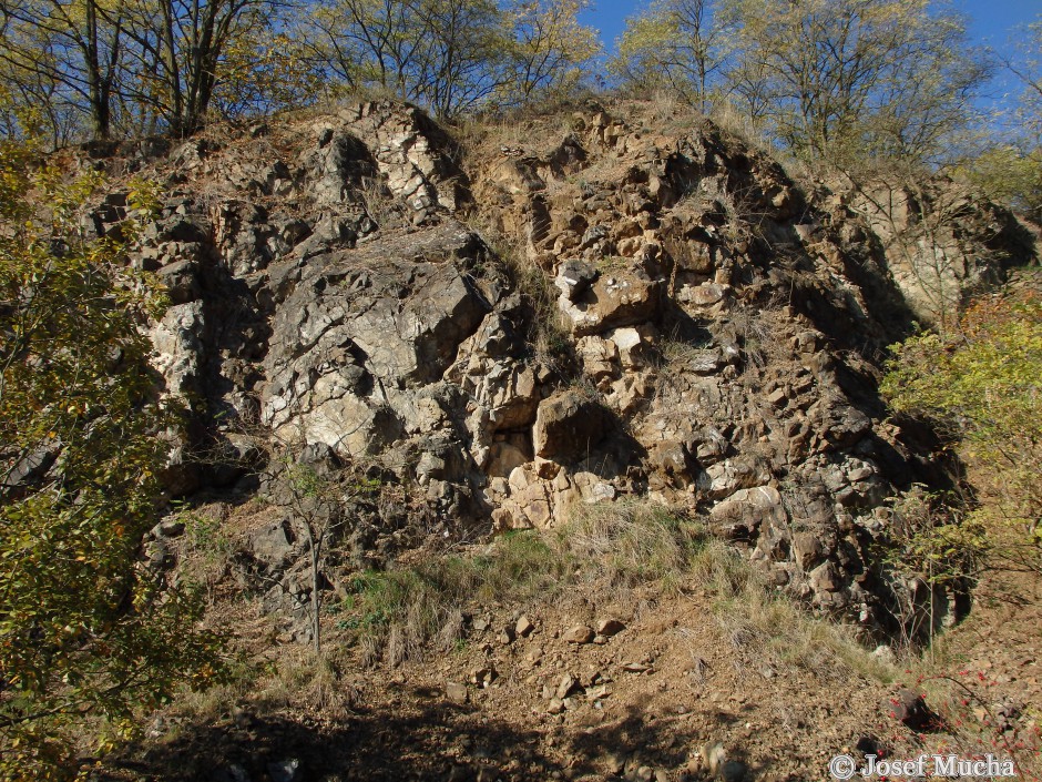 Háje u Koterova - lom - polštářová láva - magma ztuhlé v moří před více než 600 mil.lety