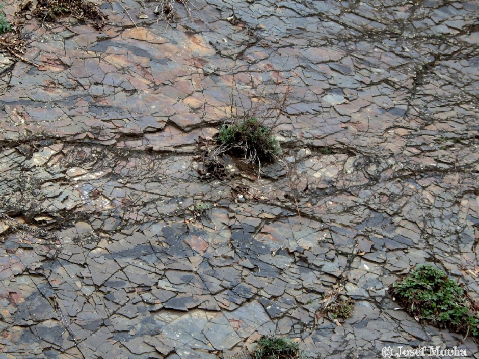 Lom Lištice - tufitické břidlice ukládané v moři mezi jednotlivými erupcemi