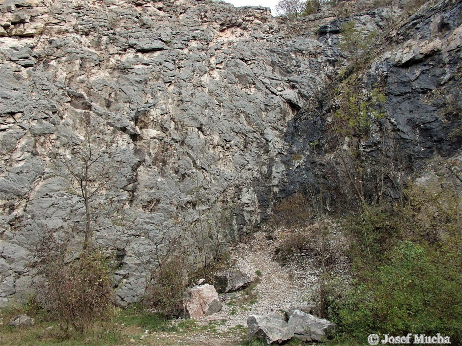 Lom V Kozle - tektonické zrcadlo - lom Hostim III, Divadýlko - krionidové spodnodevonské vápence s patrnou tektonickou poruchou v severní lomové stěně