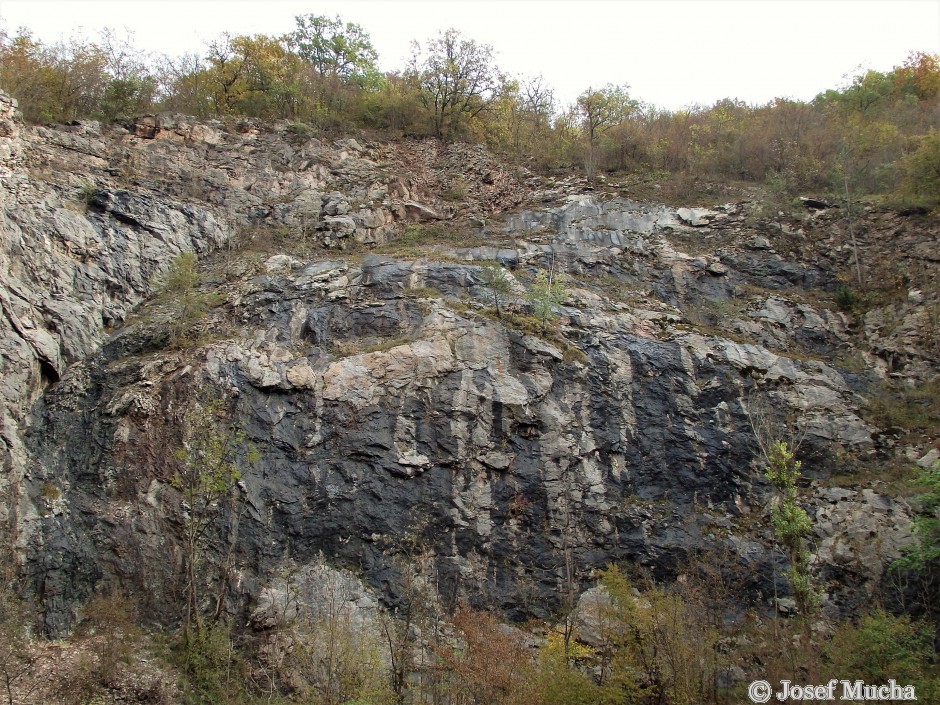 Lom V Kozle - tektonické zrcadlo - lom Hostim III, Divadýlko - krionidové spodnodevonské vápence