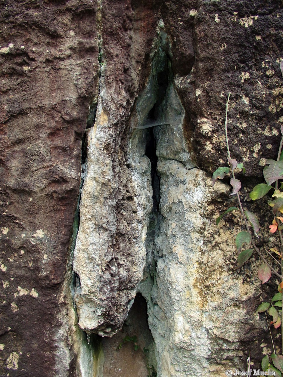Lom V Kozle - tektonické zrcadlo - spodní strana masívu s tektonickou poruchou a zkrasovatělou dutinou - detail