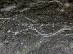 Linhorka - český granát (pyrop) - pohled na vrstvy tufů a drobné xenolity, bílé vrstvy je druhotná cementace minerálů rozpuštěných vodními roztoky