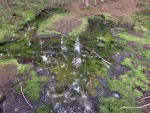 Smraďoch - rašeliniště s unikajícím CO2 a sirovodíkem na mariolázeňském zlomu
