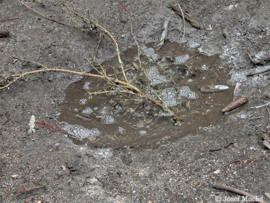 Smraďoch - unikající CO2 (mofeta) - pozůstatek po vulkanické činnosti v neogénu (třetihory) sirovodíkem