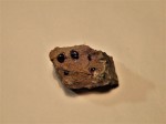 Linhorka - český granát (pyrop) - nalezený hydrotermálně metamorfovaný xenolit serpentinitu s pyropy na Linhorce - velikost vzorku 3 x 2 cm