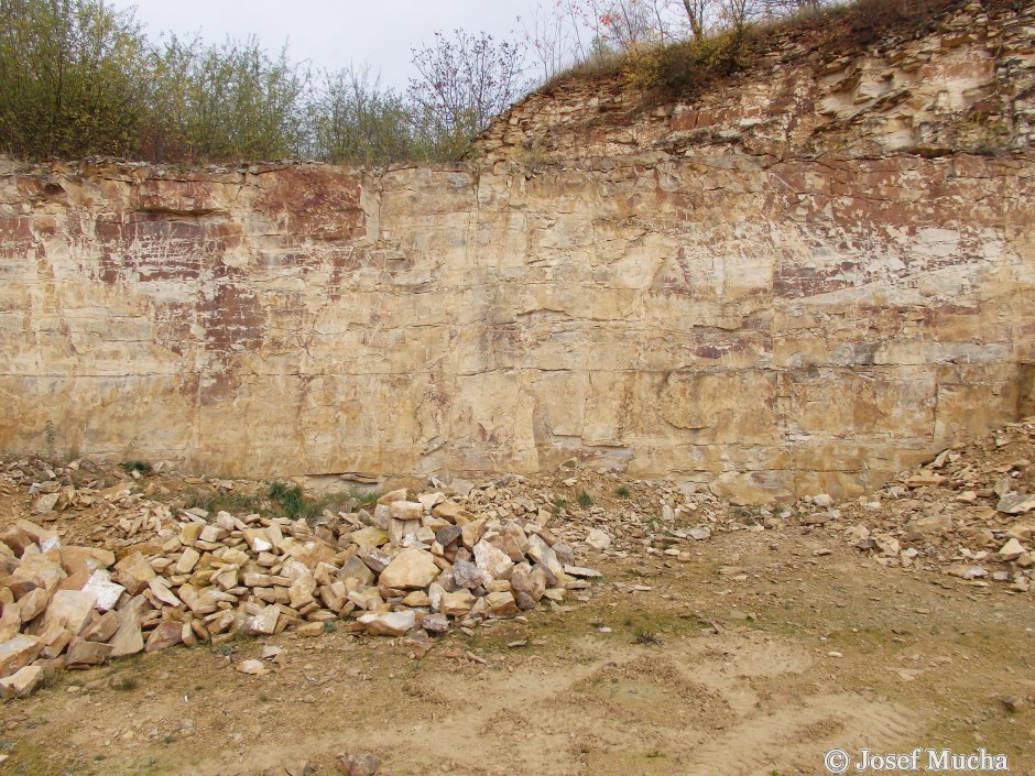 Lom Přední Kopanina - hlavní lomová stěna, kde probíhala poslední těžba