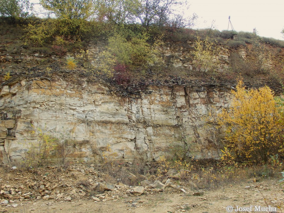 Lom Přední Kopanina - jihovýchodní stěna lomu - opuky bělohorského souvrství z období křídy (spodní turon) - opuka se ukládala v moři v období před 95 až 89 mil. lety