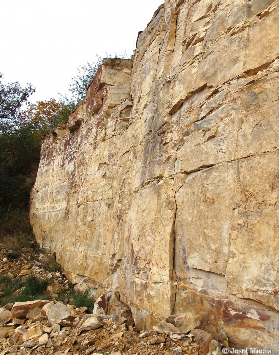 Lom Přední Kopanina - hlavní lomová stěna, kde probíhala poslední těžba - ve spodní části vrstva kompaktní žádané "zlaté opuky"