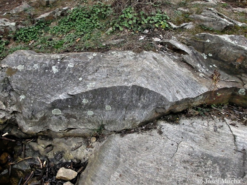 Kaňk u Kutné Hory - páskované migmatity silně metamorfované horniny kutnohorského krystalinika