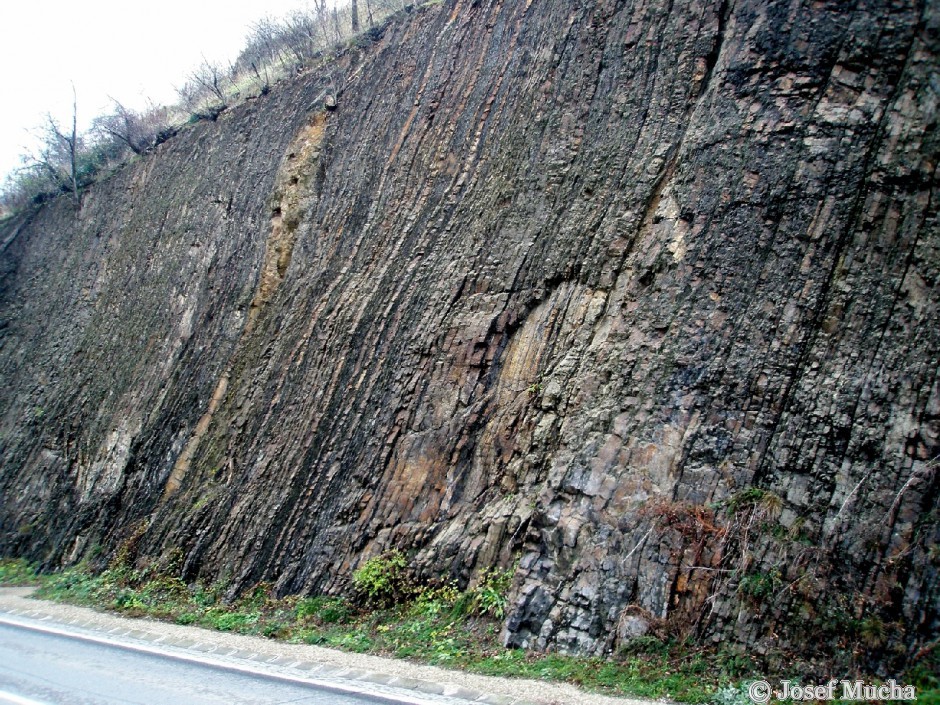 U Závisti - Zbraslav - ordovické vrstvy - skalní defilé