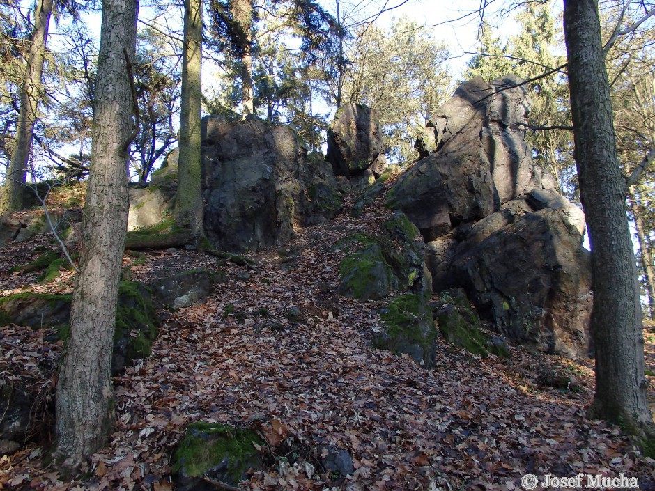 Těnovická skála - skalní hřbet vznikl mrazovým zvětráváním v období posledních glaciálů (dob ledových)