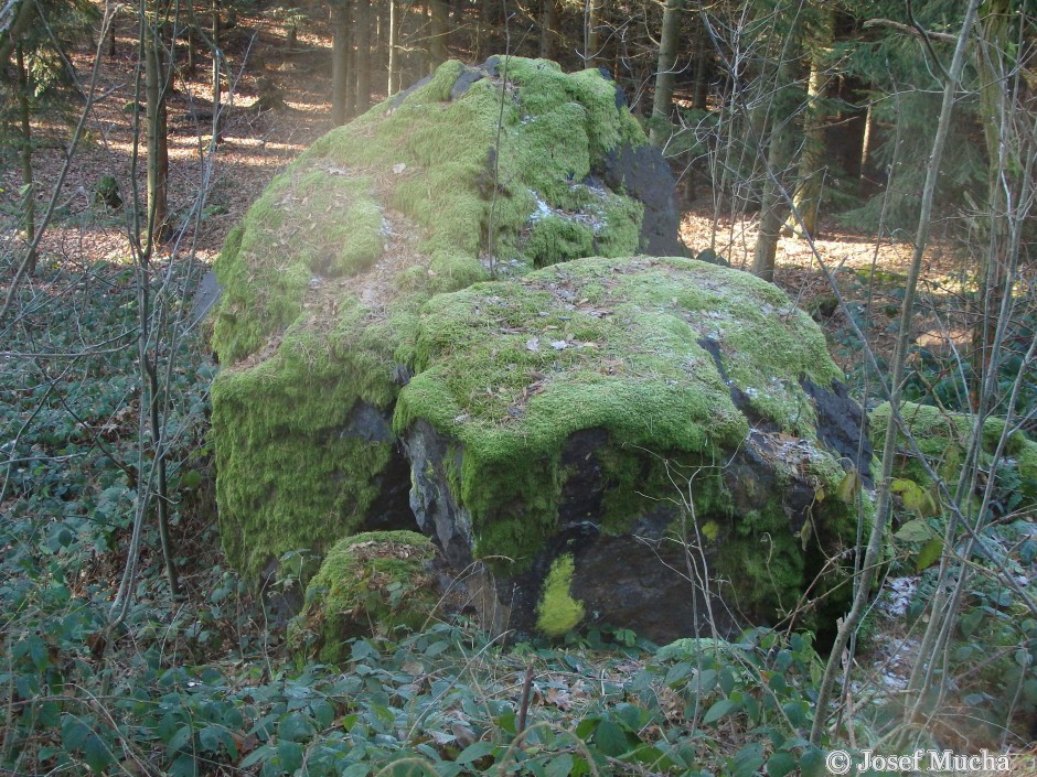 Těnovická skála - silicit porostlý mechem