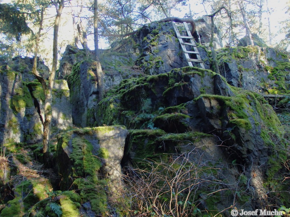 Těnovická skála - skalní hřbet ze silicitu je součástí táhnoucího se neoproterozoickými (starohorními) sedimenty od Klatov přes Plzeň, dále přes okraj Prahy až k Brandýsu nad Labem. 