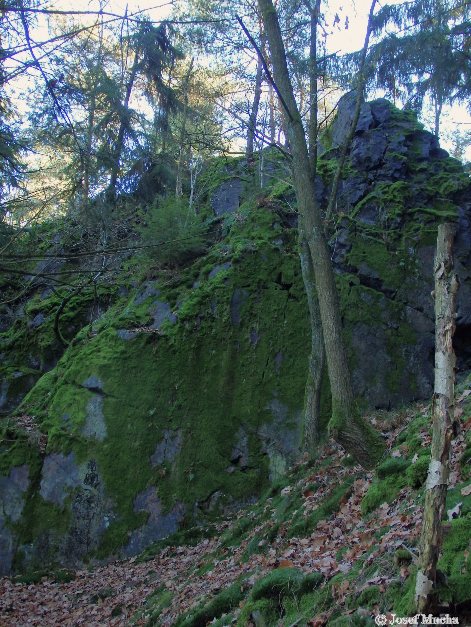 Těnovická skála - skalní hřbet rozpukaný mrazovým zvětráváním
