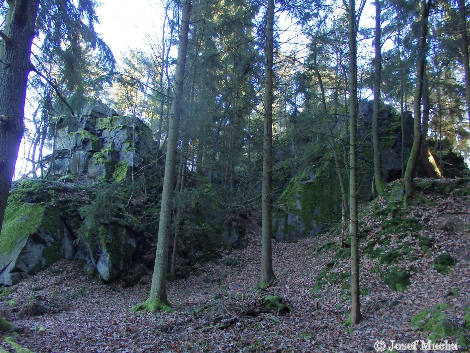 Těnovická skála - skalní hřbet ze silicitu (buližník)