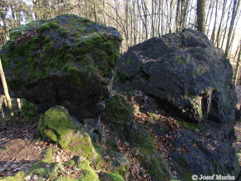 Těnovická skála - skalní hřbet ze silicitu (buližník)