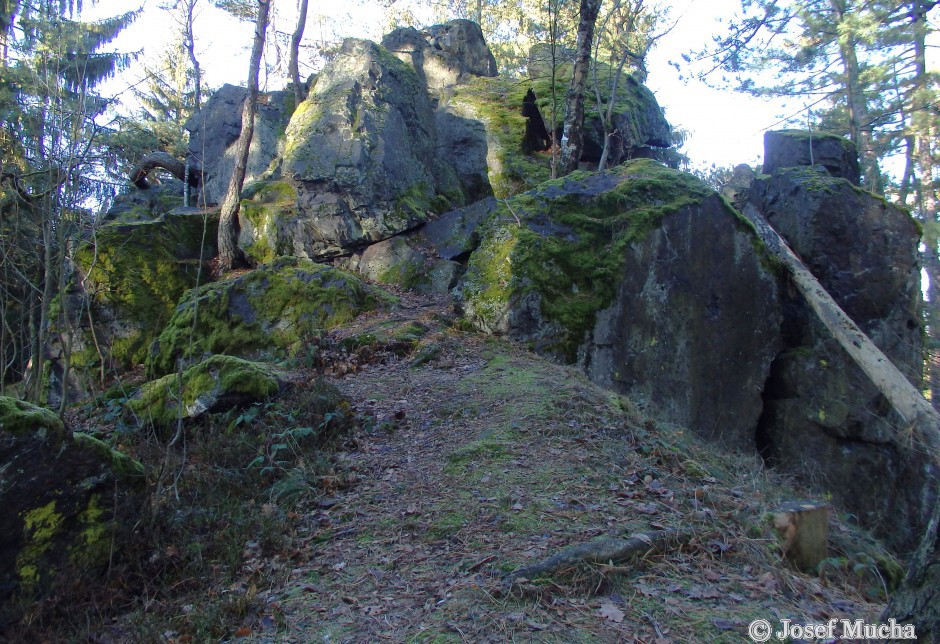 Těnovická skála - skalní hřbet ze silicitu (buližník)