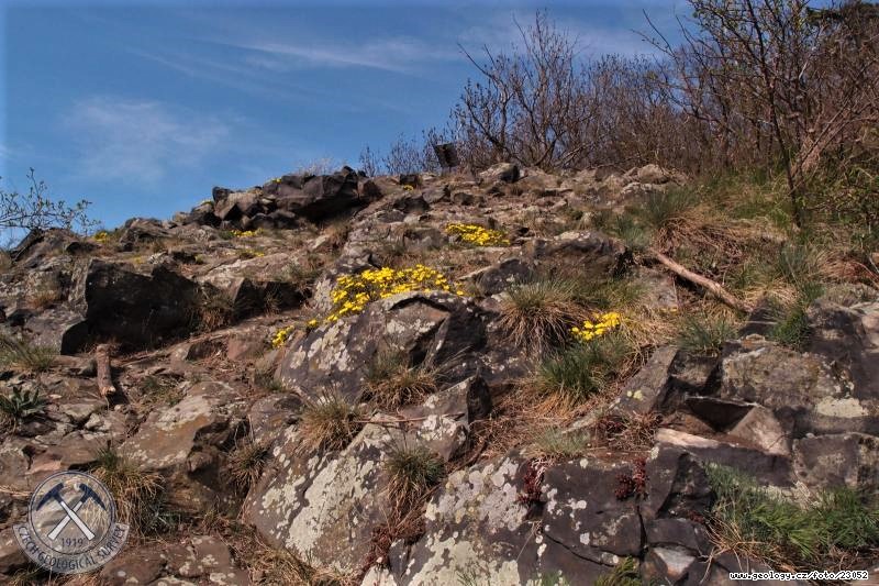 Říp - výchozy sodalitického nefelinitu na jižní vyhlídce, foto Pavla Gürtlerová, www.geology.cz/foto/23052
